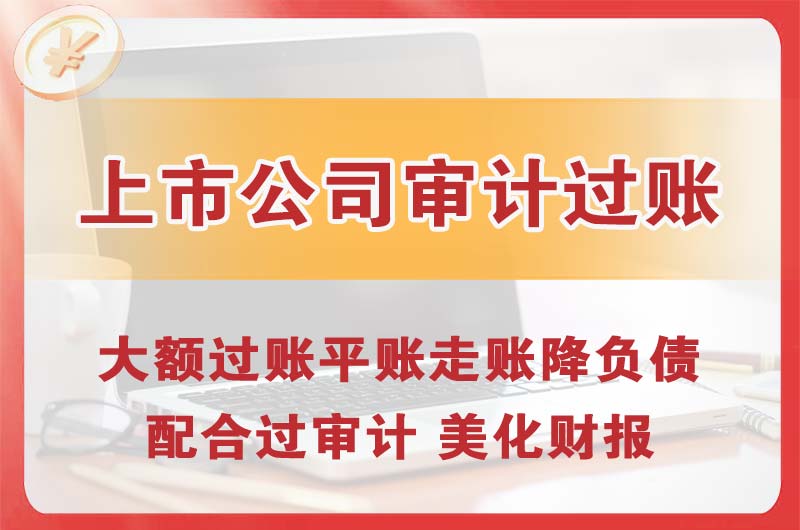 山南上市公司审计过账